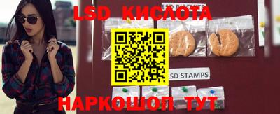 винт Владикавказ