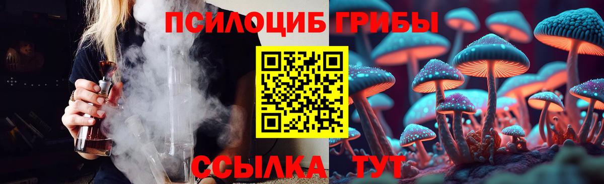 Галлюциногенные грибы мухоморы  Псилоцибиновые грибы Cubensis  где можно купить   Богородицк  Вход с VPN 
